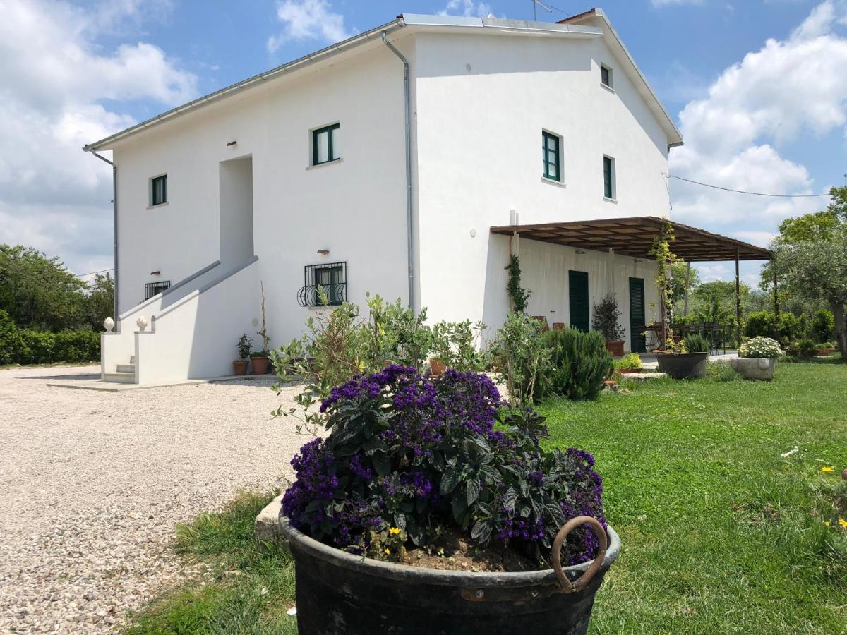 Casa Agricola Scorziello Villa Serre  Exterior foto