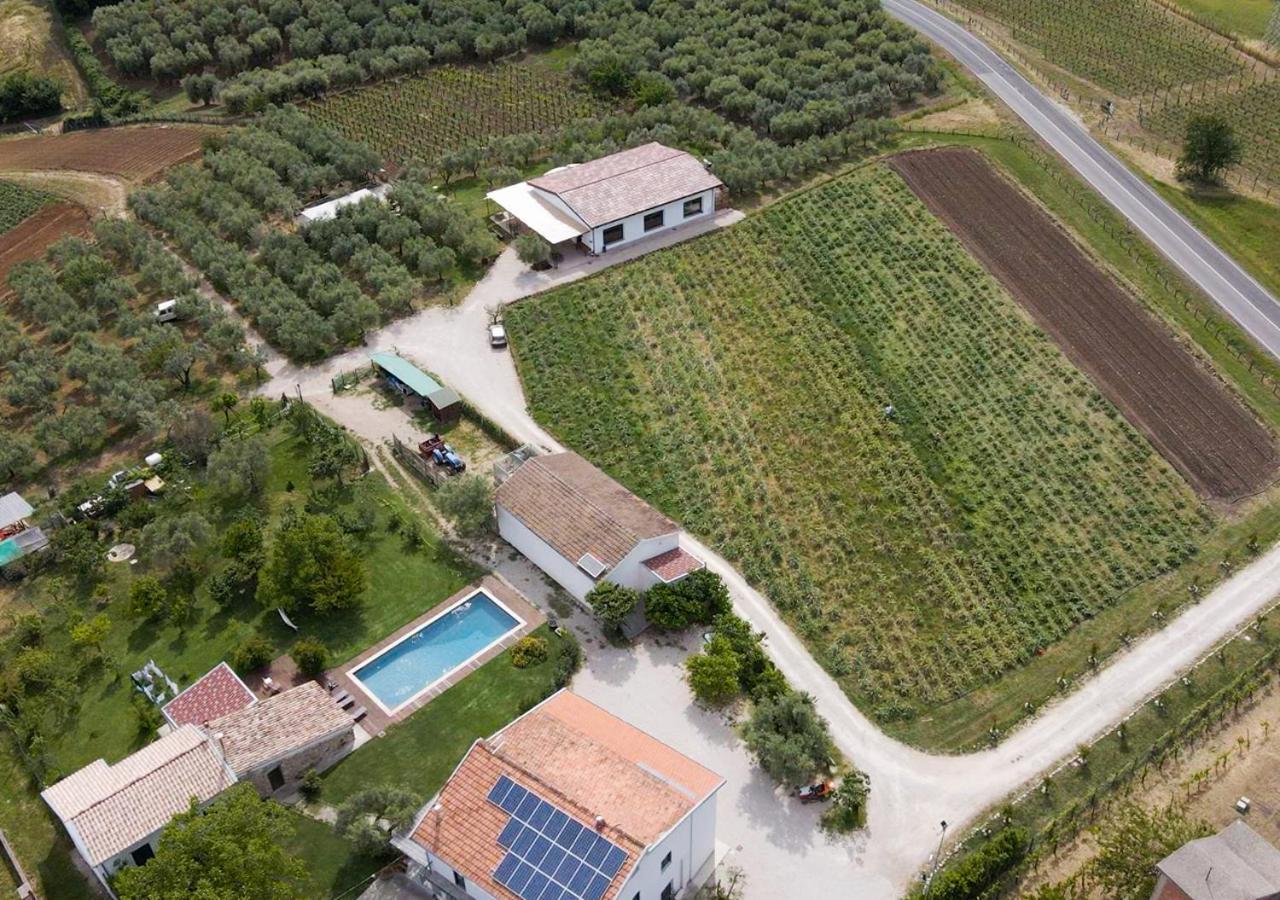 Casa Agricola Scorziello Villa Serre  Exterior foto